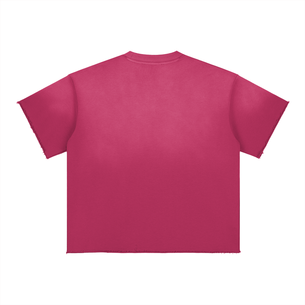 Womens' Faith Based Apparel - Clothed in Dignity & Strength - Sun Fade Raw Edge T-Shirt