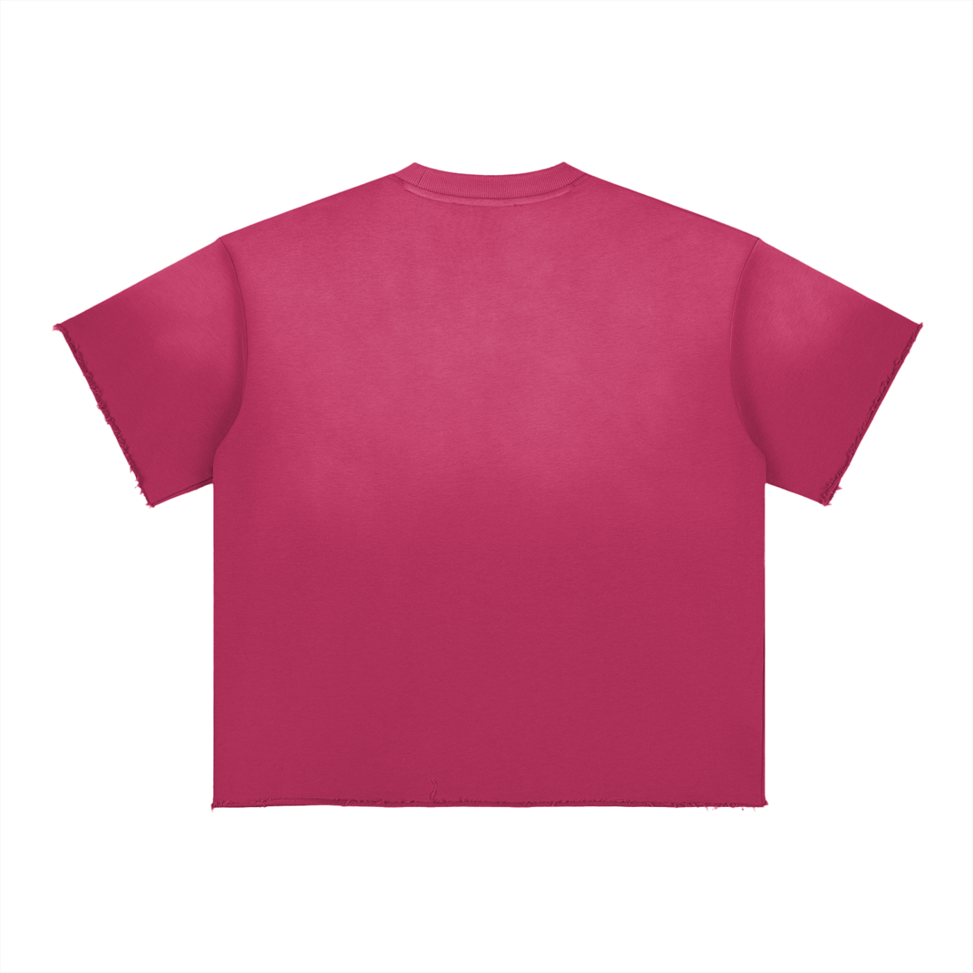 Womens' Faith Based Apparel - Clothed in Dignity & Strength - Sun Fade Raw Edge T-Shirt