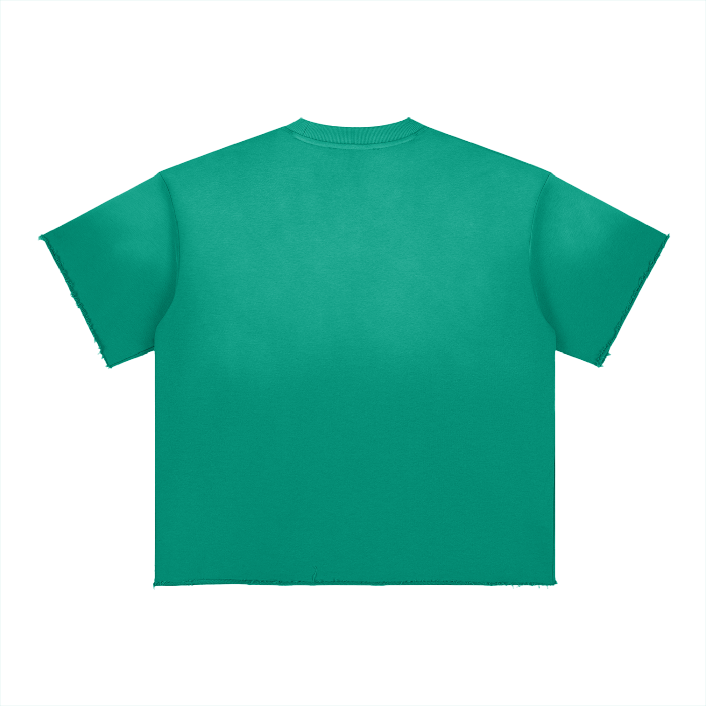 Fashion Apparel - Speak Your Truth - Unisex Sun Fade Raw Edge T-Shirt